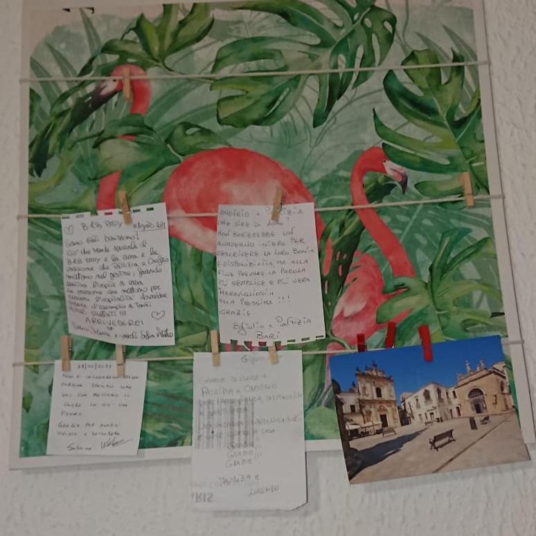Nardò B&B Patty מראה חיצוני תמונה